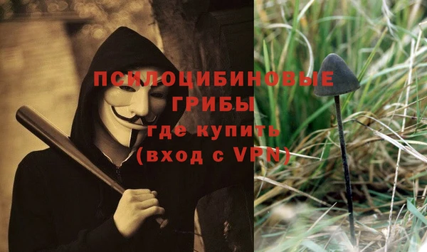 меф Елизово