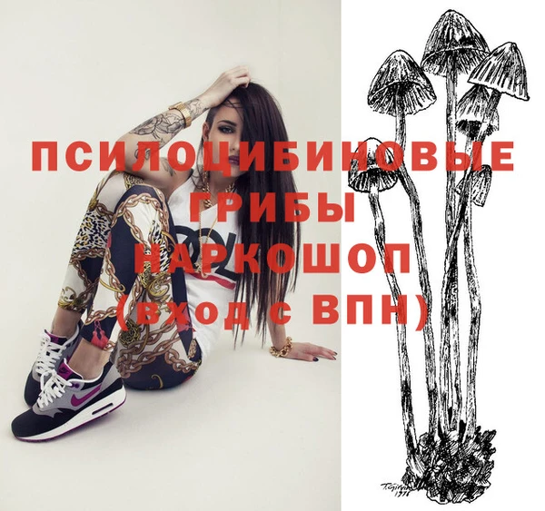 меф Елизово