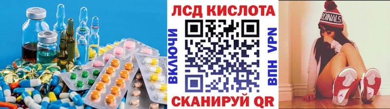 где продают наркотики  Каргополь  дарк нет состав  LSD-25 экстази кислота 