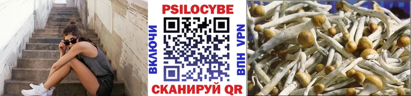наркотики  Каргополь  Псилоцибиновые грибы мухоморы 